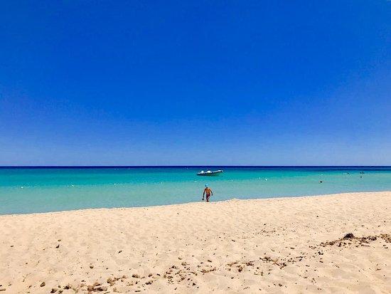 Chiosco Sunshine Rey